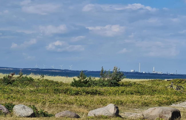 6 Person Holiday Home in Store Fuglede-by Traum - Foto 6