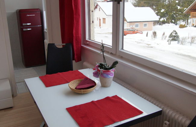 W & S Executive Apartments - Obertraun - Foto 23