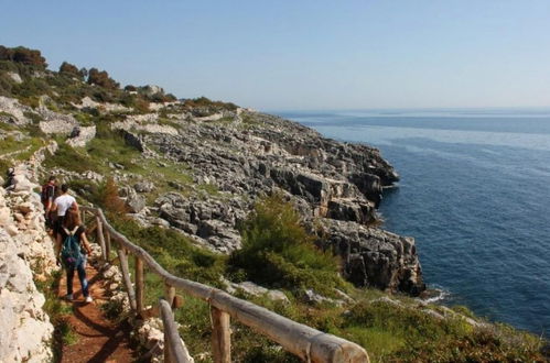 Foto 52 - Casa Celeste - Immersa Nella Natura con Piscina Privata nel Salento