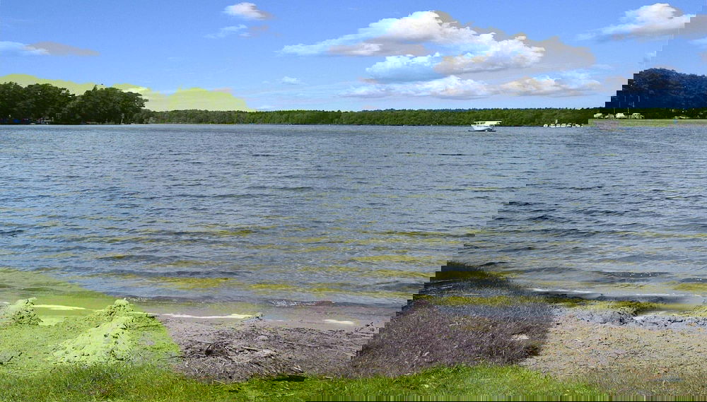 Image principale