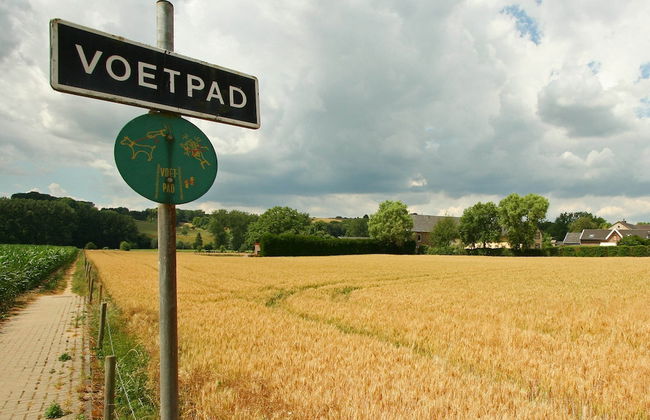 Lovely Farmhouse in Wijlre With Forest Nearby - Foto 60
