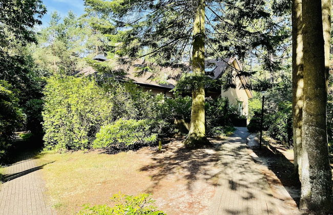 Quaint Villa in Doornspijk With Swimming Pool - Foto 80