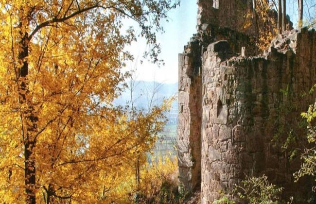 Quaint Apartment in Zeil am Main With Terrace - Photo 70