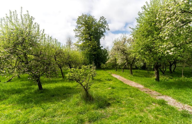 Lake-view Apartment in Klein Pravtshagen With Garden - Foto 47