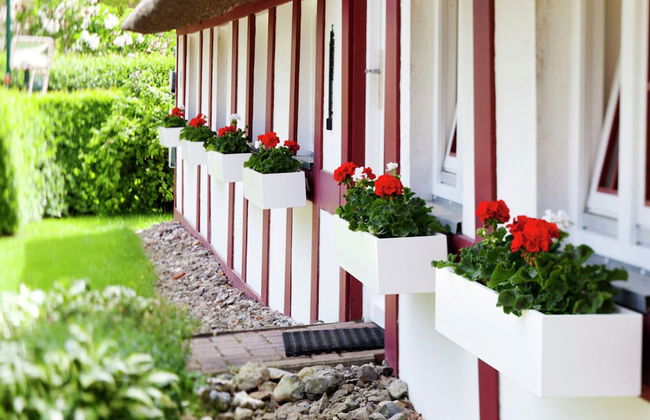 Ruhiges Appartement in Strandnaehe in Wohlenberg, Deutschland - Foto 76