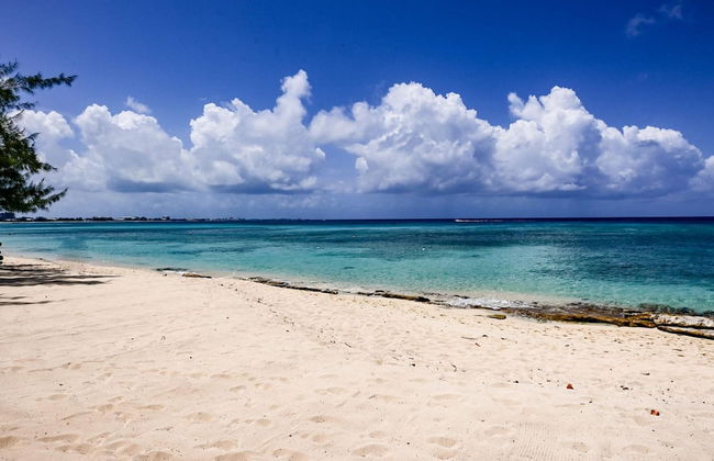 Luxury Penthouse Condo With 360 Oceanviews - Foto 22