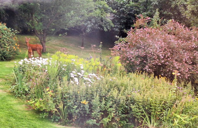 Luxurious Entire Studio in Axminster Suitable for - Photo 15