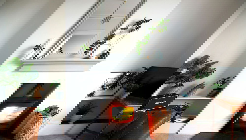 Imagem principal