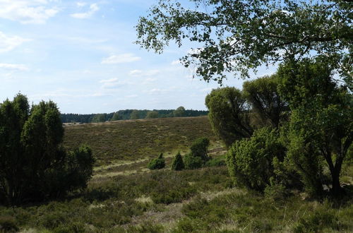 Photo 16 - Holiday Home in the Luneburg Heath