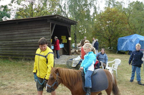 Photo 20 - Holiday Home in the Luneburg Heath