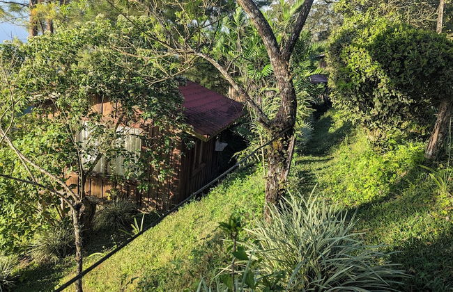 Campos de Oro Wilderness Lodge - Foto 19