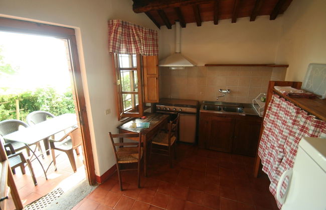 Fattoria Gambaro di Petrognano - Foto 33