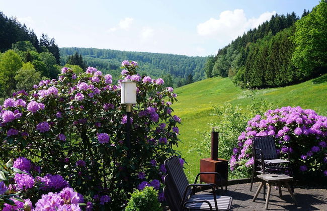 Exclusive Group House in Winterberg in the Forest - Foto 65