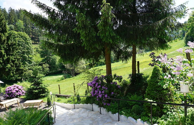 Large House in Winterberg in the Sauerland Region - Photo 70