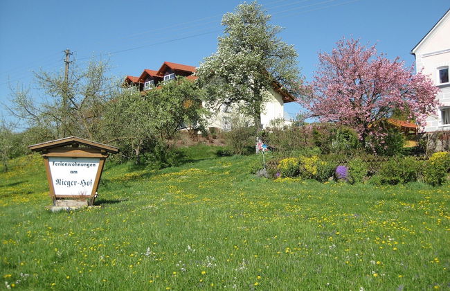 Comfortable Apartments in Rotthalmunster - Foto 71