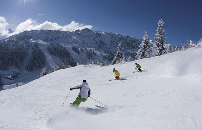 Holiday Flat Near Four ski Lifts in Mayrhofen - Foto 32