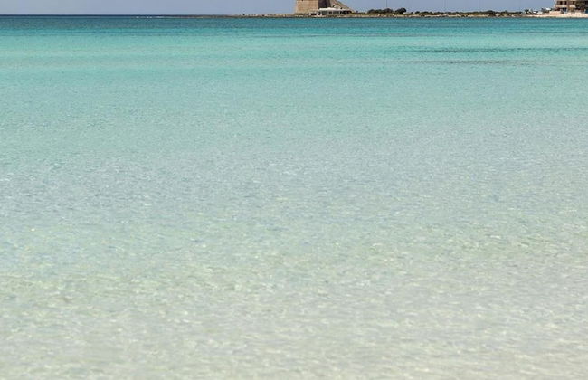 2106 B B Le Radici Del Salento - Camera Matrimoniale - Foto 59