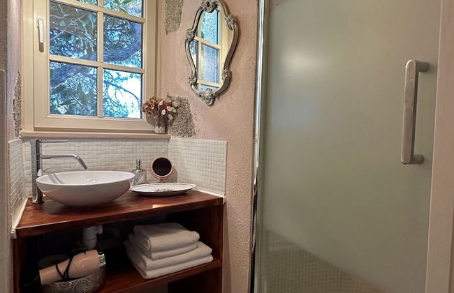 Château de la Preuille - Foto 9