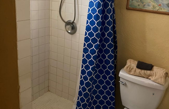 Bananaquit House - Photo 37