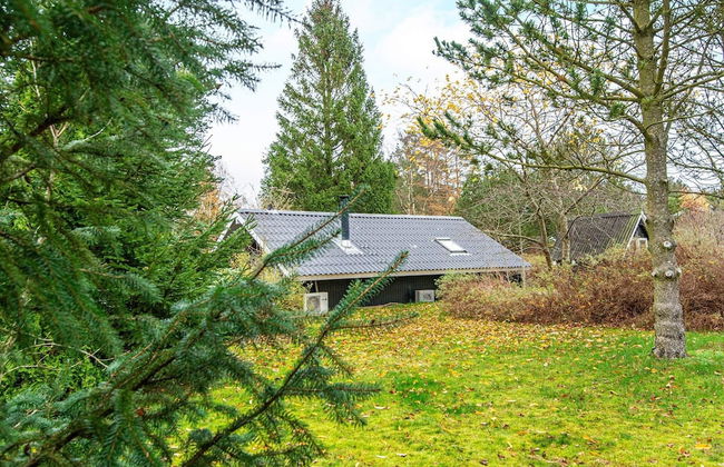 4 Person Holiday Home in Farvang-by Traum - Foto 50