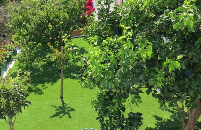 Room-andoni's House in Pitrofos Andros i - Foto 15
