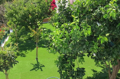 Photo 14 - Room in Guest Room - Andoni's House in Pitrofos Andros Island