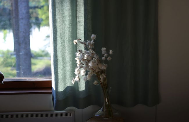 Metsä Kolo - Photo 11