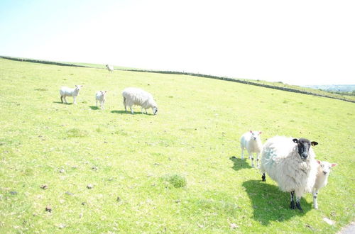 Photo 42 - Brambles Farm Peak District Escape