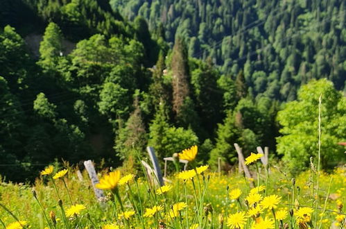 Foto 26 - Ayder Yayla Bungalov