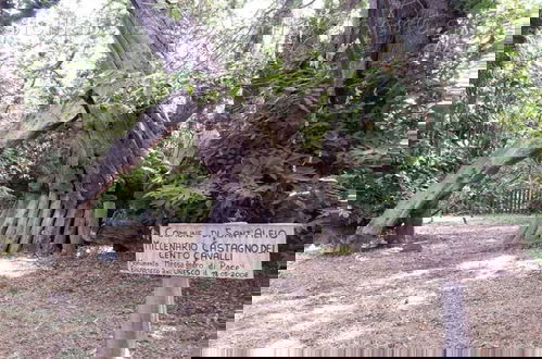 Foto 28 - Villa Bonaccorso - La Dimora Immersa Nella Natura ai Piedi Dell Etna
