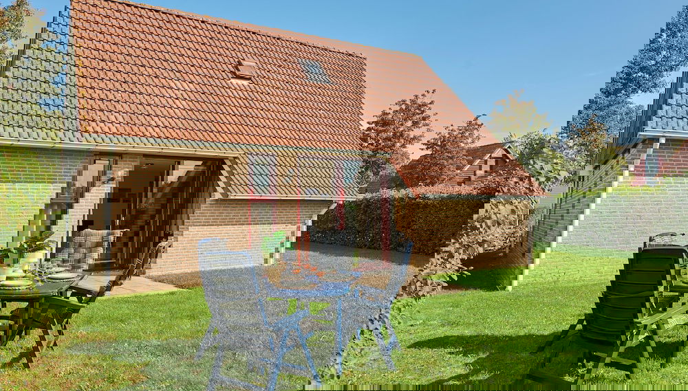 Imagem principal