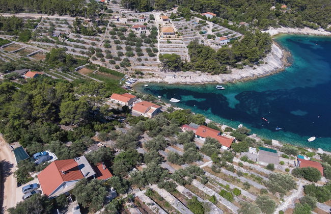 Olive's Garden House - Foto 37
