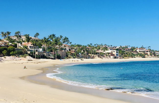 Cabo Oasis Escape - Luxury Apartment - Photo 10