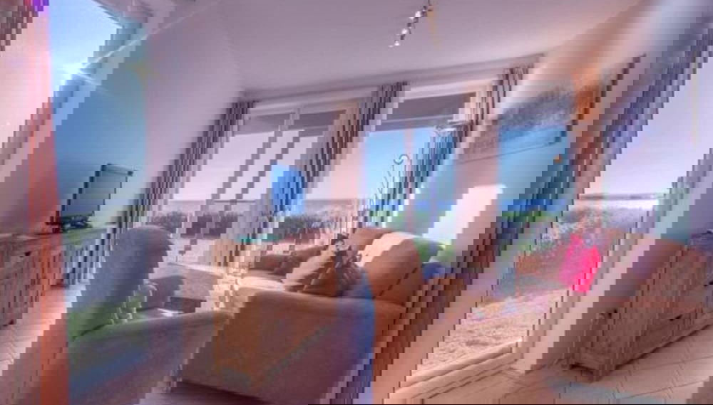 Imagem principal