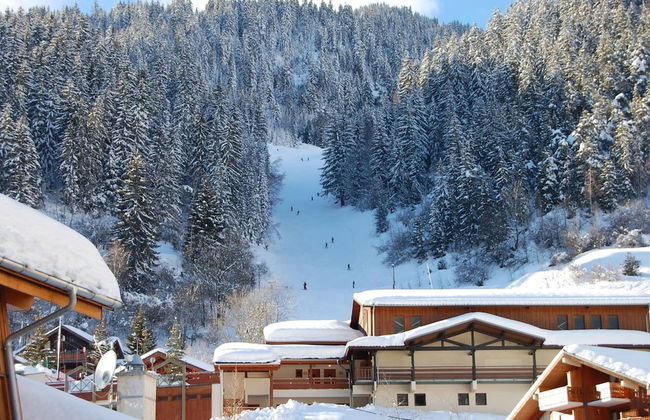 4-6 Pers. Holiday Appartment Near Center of Champagny - Foto 44