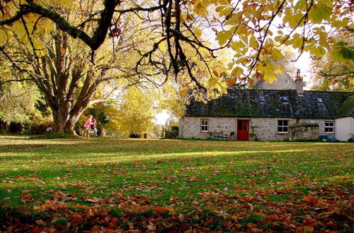 Photo 14 - The Dell of Abernethy