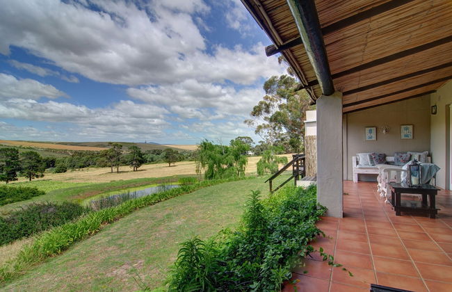 Blue Gum Country Estate - Foto 59