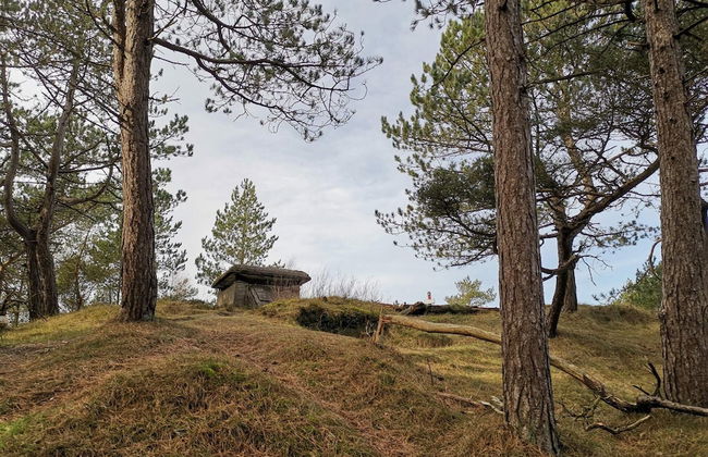 4 Person Holiday Home in Oksbol-by Traum - Foto 41
