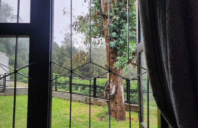 Songs of the Nilgiris - Foto 41