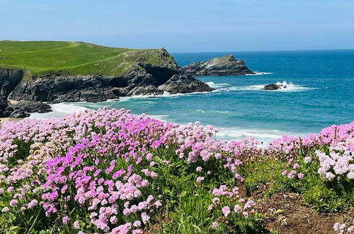 Photo 30 - Cosy Quiet Cottage in Cornwall Close to the Coast