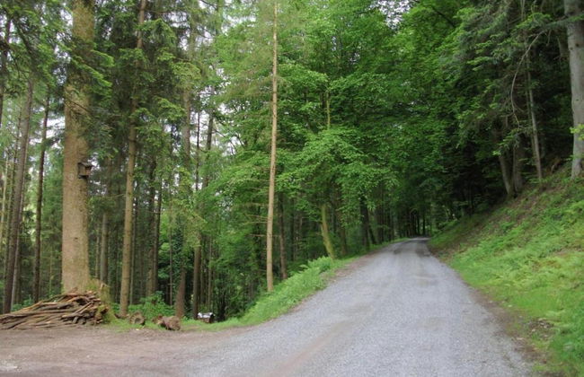 Ferienwohnung in Schiltach - Foto 37