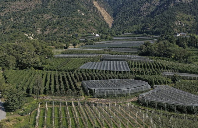 Residence Lahnhof, Laces - Foto 72