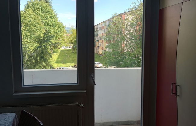 Iosif House Rgbm Reșița - Foto 10