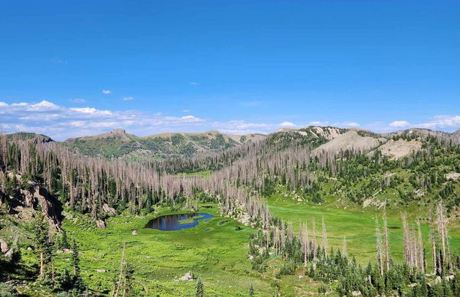 Backcountry Outfitters - Foto 17