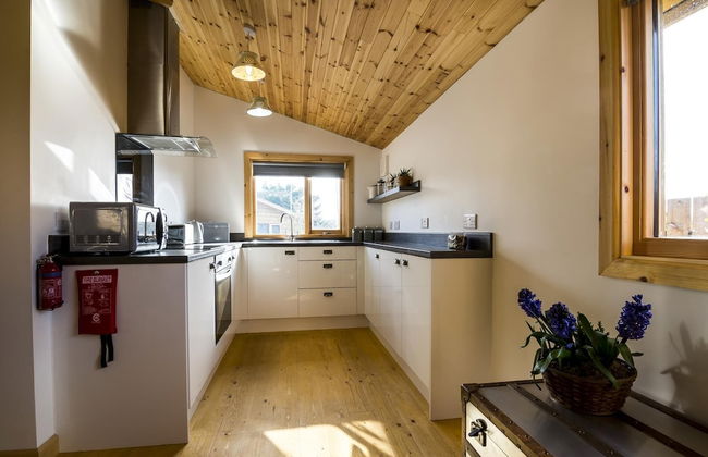 Fern Lodge - 2 Bedroom Log Cabin - Saint Florence - Foto 9