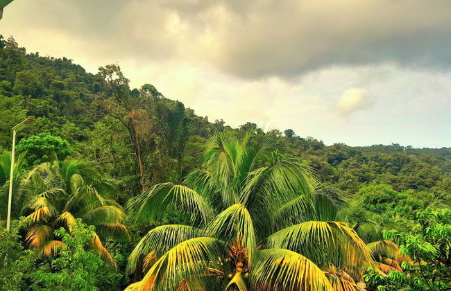 Pinard's Mountain Resort- Cottage 8 - Photo 49