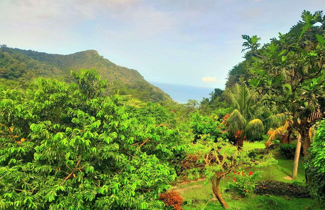 Pinard's Mountain Resort- Cottage 8 - Photo 48