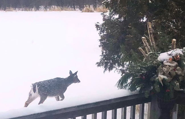 Staying by the Lakeside Cottages - Photo 50