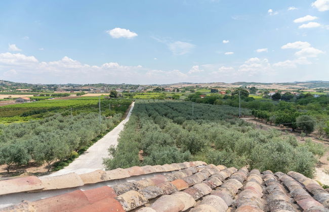 Oikos in Terre di Zaccanello - Foto 68