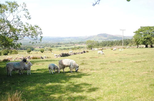 Foto 42 - Brambles Farm Peak District Lodge